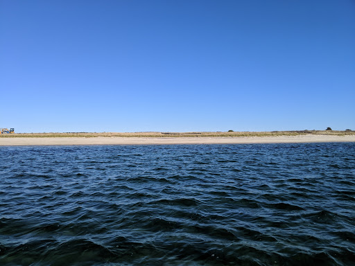 Sampsons Island Wildlife Sanctuary - Thumbnail