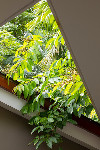 Hotel Pumilio - Jacó, Costa Rica by null