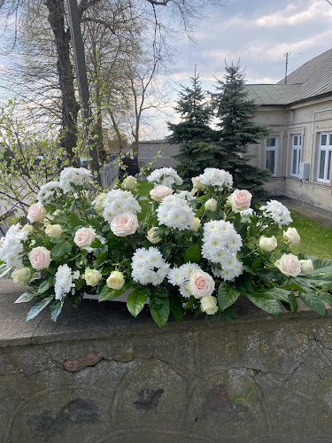 Komentarze i opinie o Kwiaciarnia Olista flowers Kwiaty Цветы Квіти Hoża Center