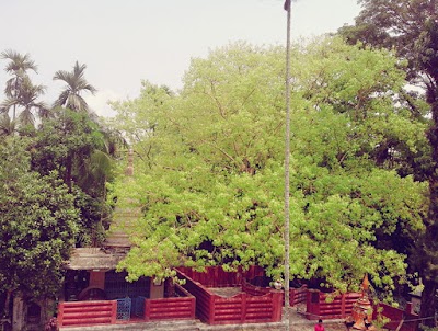 Photos of Panchariya Universal Buddhist monastery
