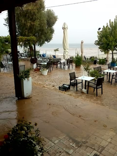 Blue Sea BEACH BAR