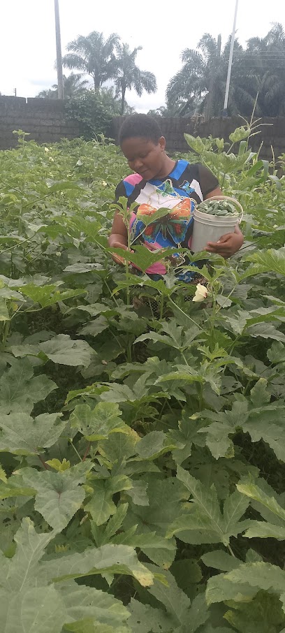 Aify Agrobase Enterprise