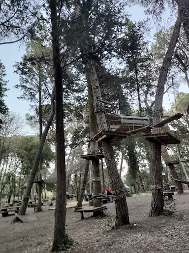 Parcallario - Visual