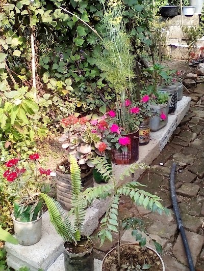 Photos of Rara Fish ( Dahal Niwas )