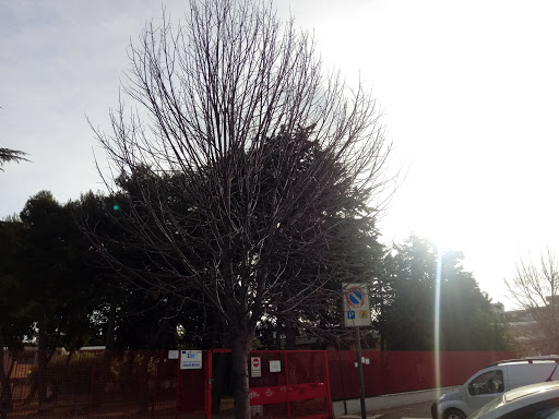Middle School Murialdo - Visual