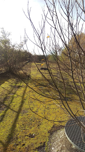 Viaduc d'Otterswiller - Thumbnail