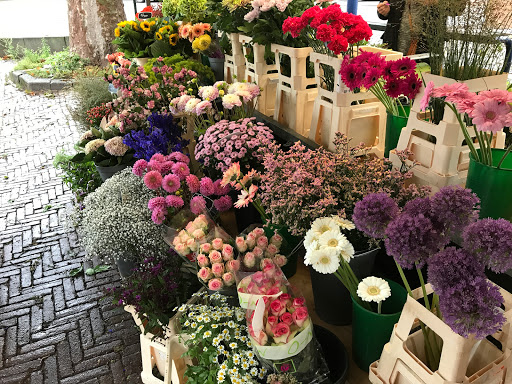 Antoinette’s Bloemen - Thumbnail