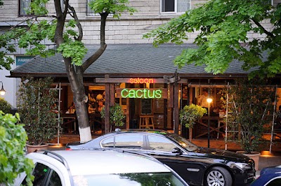 Photos of Cactus