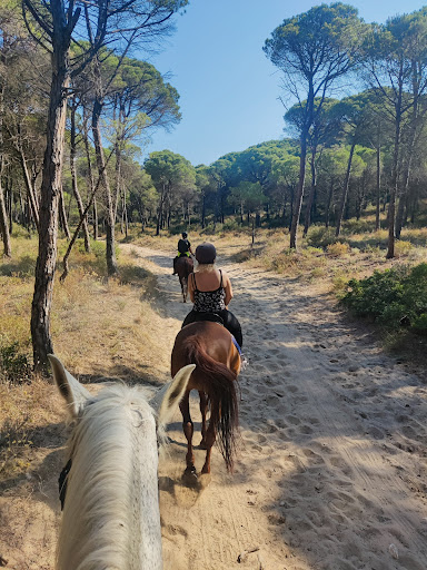 Hípica Begur