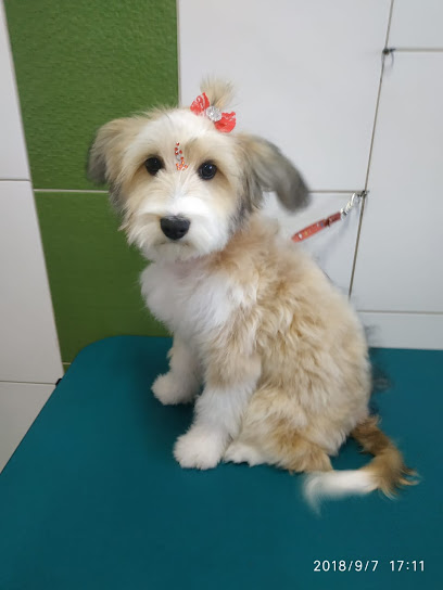 Puppy Banho e Tosa