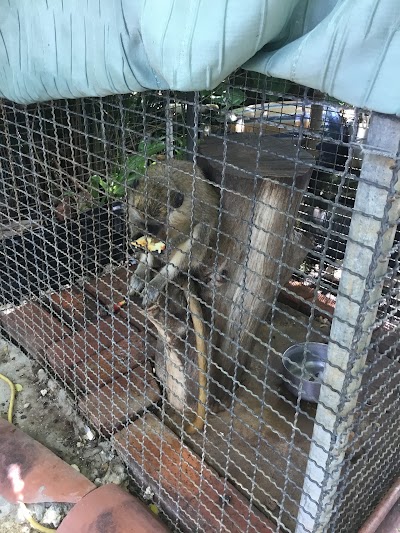 zoo