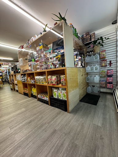 latinoamericana deli and grocery LLC - Thumbnail