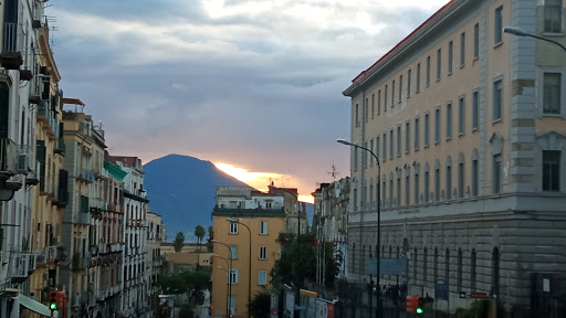 Liceo Ginnasio Statale Gian Battista Vico - Thumbnail