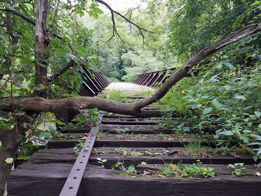Wythogan Park - Visual