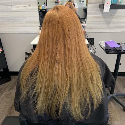 Salon 74 - Visual