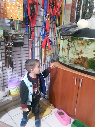 Arkadaş Pet Shop