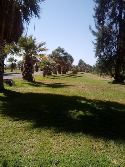 Photos of Camping Palmar del Lago