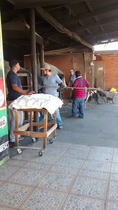 Photos of Tortillas Los Hornitos de jose