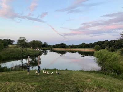 MULBERRY POND