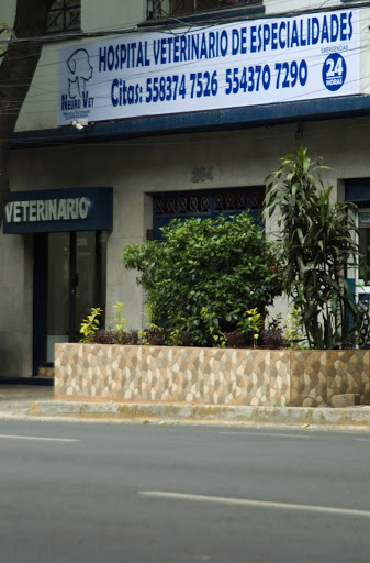Hospital Veterinario de Especialidades NeuroVet