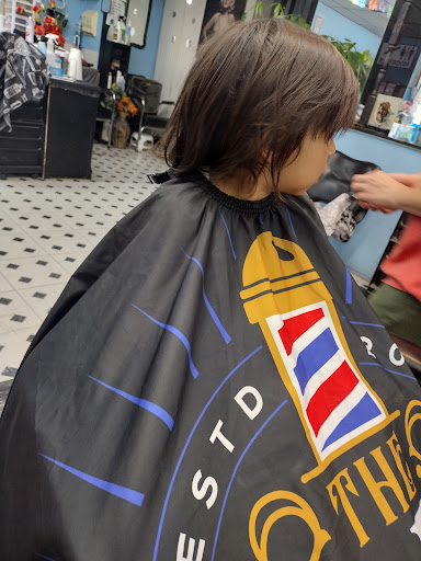 Hair Shape & More Gallery - United States