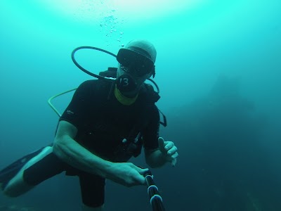 Photos of Dream Divers