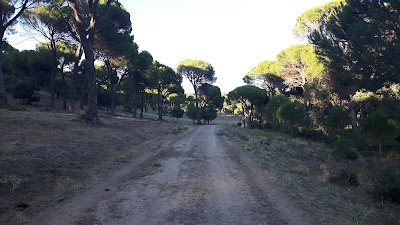 Photos of Pinar De Almorox