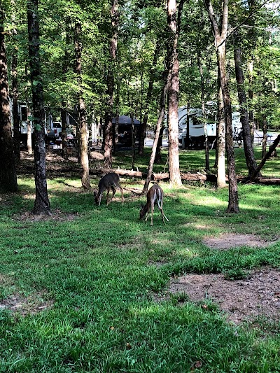 Group Camp I at Fall Creek Falls State Park