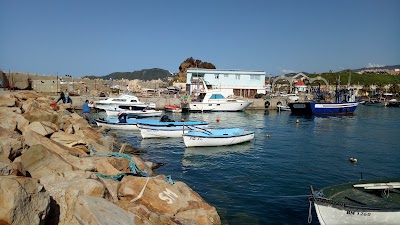 Photos of La Terasse Du Port