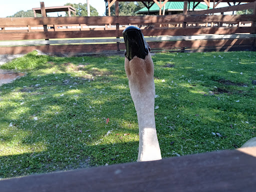 River Ranch Petting Farm Gallery - United States
