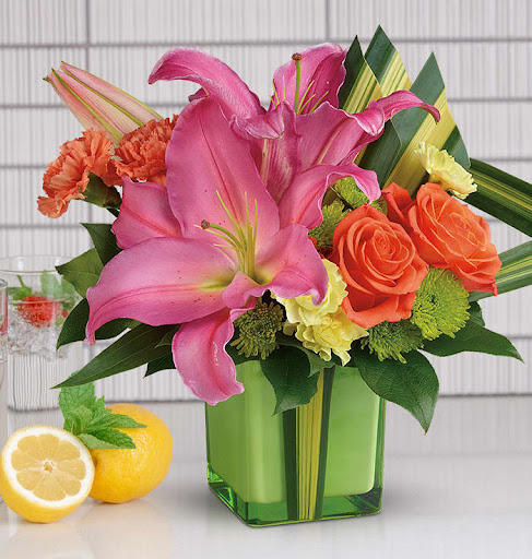 352 Flowers - Visual