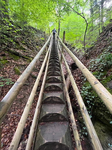 Himmelsleiter Wüstenrot