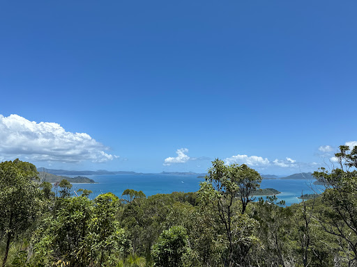 Mt Rooper Lookout
