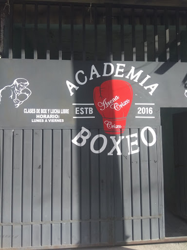 GYM DE BOX CRIXO Gallery - Mexico
