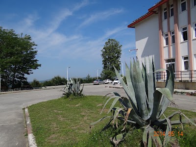 school