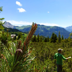 NOUTA Val di Fassa da l
