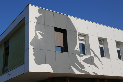 Mayor of Saint-Quentin-Fallavier - Thumbnail