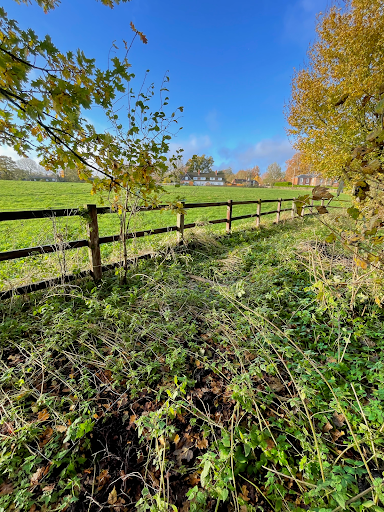 West Downland Benefice