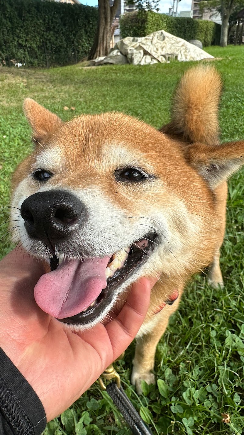 犬の保育園&ペットホテル ONE'S COOL