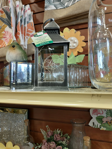 Dollar Extra Plus - Visual