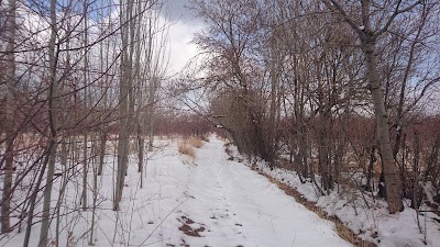 Photos of چشمه احمدرضا