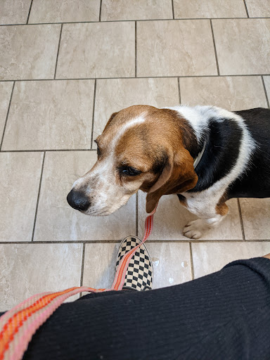 Animal Hospital of Worthington Gallery - United States