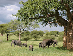 Photo n°27 de AQUATOUR VOYAGES - Agence de voyages à Lille à Lille (Agence de voyages)