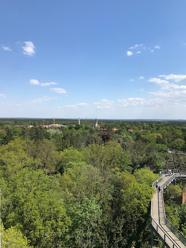 Grillkutsche - Visual