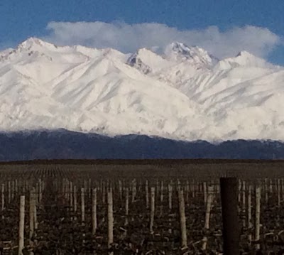 Photos of Mendoza Wine Bike Tour