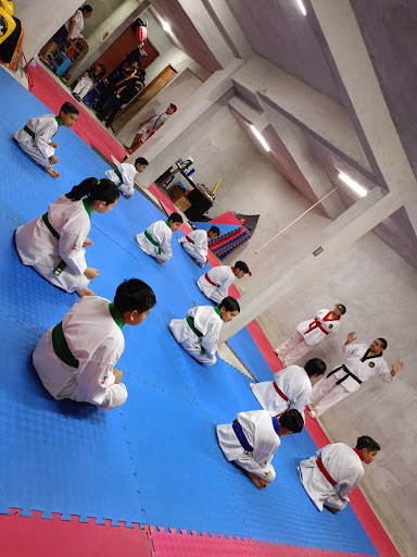 AMTKD "ITZINCAB" - Visual