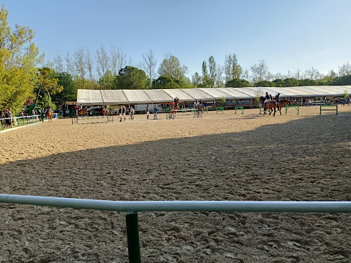 Le Siepi Cervia - Visual