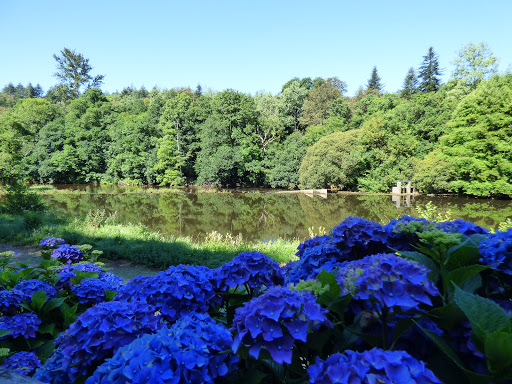 Photo de Domaine de Pratulo à Cléden-Poher (29270)
