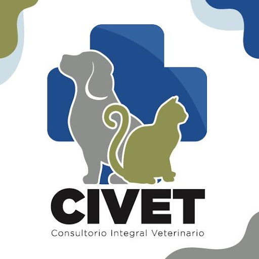 H-CIVET HOSPITAL INTEGRAL VETERINARIO