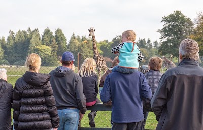 Photos of Knuthenborg Safaripark